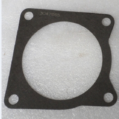 Genuine kta38 kta50 Connection Gasket 3047665 engine parts