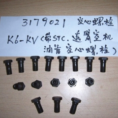 Chongqing 3179021 banjo connector screw K19 K38 K50 engine parts