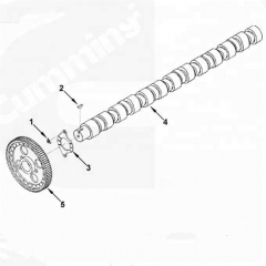 KTA19 camshaft 3066877 engine parts for marine