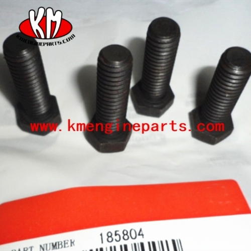 CCEC 185804 Screw Hexagon Head Cap KTA19 engine spare parts