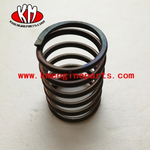 CCEC NTA855 Engine spring 3000936