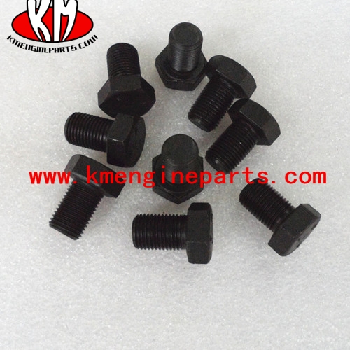 Chongqing S181C Hexagon screw KTA38 engine parts