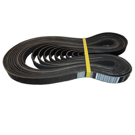 3289001 v ribbed belt