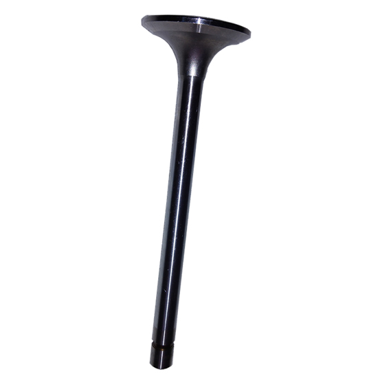 intake valve 2881836