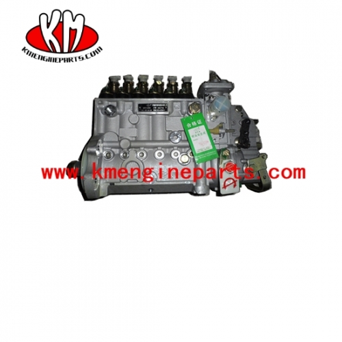 DCEC 3973900 fuel injection pump 6CT8.3 engine parts for truck part