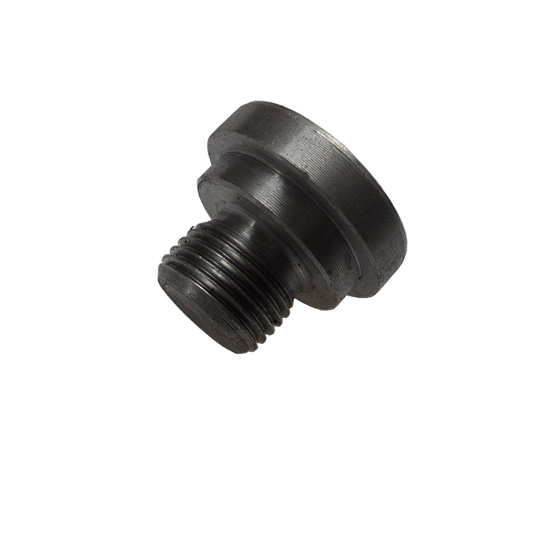 218736 engine plug