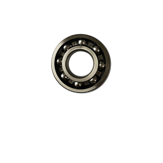 6310NSE Ball Bearing