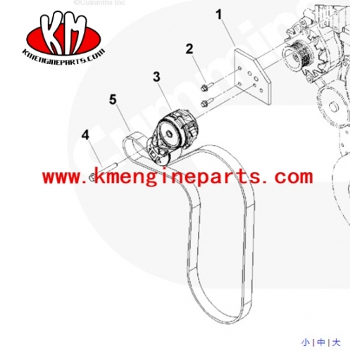 DCEC 6ct engine parts 3288900 3029060 v ribbed belt