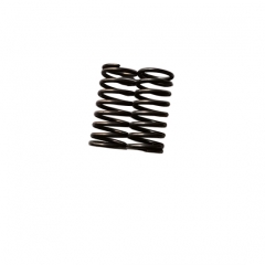 Chongqing NTA855 Engine Compression Spring 70822