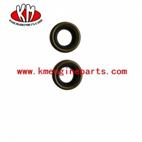 CCEC 3010945 Dust Seal NTA855 V28 engine parts