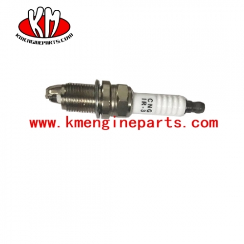 USA 4937472 3976119 4955850 Spark Plug engine 6cta8.3 parts