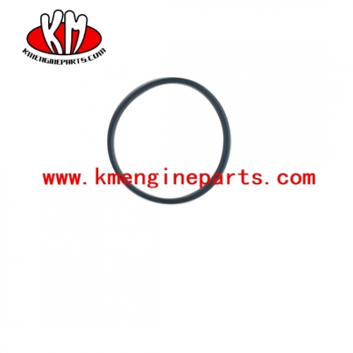 Usa 3678724 qsx15 isx15 engine water pump ring seal