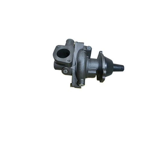 4972864 water pump