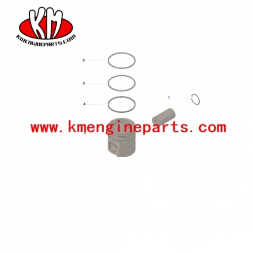 3802344 3919247 6ct 6L truck engine piston