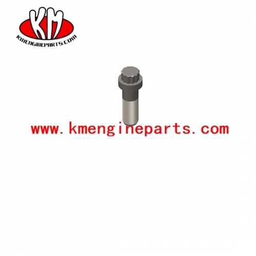 Chongqing engine parts K series screw twelve point cap 205275