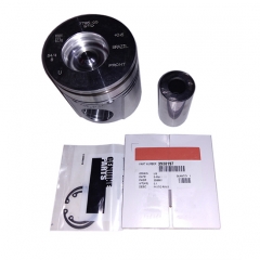 6cta Engine Piston Kit 4955581 Engine Piston Kit